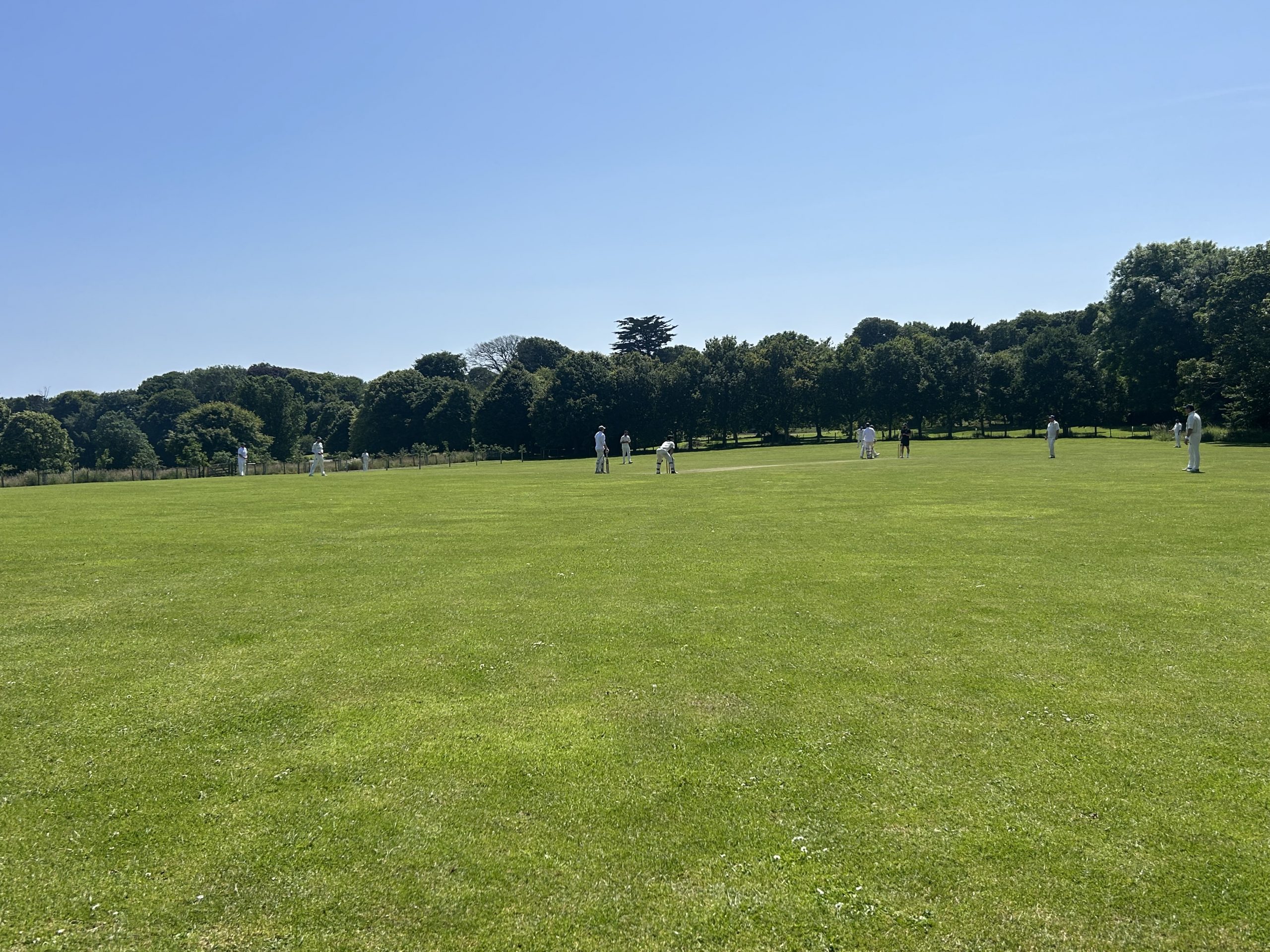 Glory against the Grasshoppers: Modbury CC vs Wembury Grasshoppers