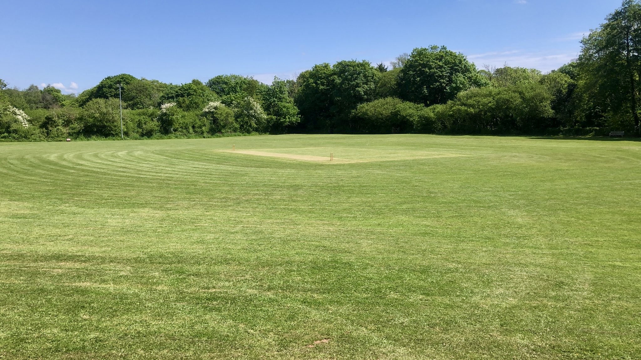 Modbury Fall Just Short in Sunny Thriller Against Ugborough
